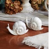 image:imagePrimitives by Kathy Salt amp Pepper Set  LemonSnails