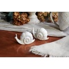 image:imagePrimitives by Kathy Salt amp Pepper Set  LemonSnails