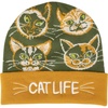 cat life