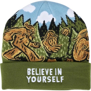 image:imagePrimitives by Kathy Beaniebelieve in yourself